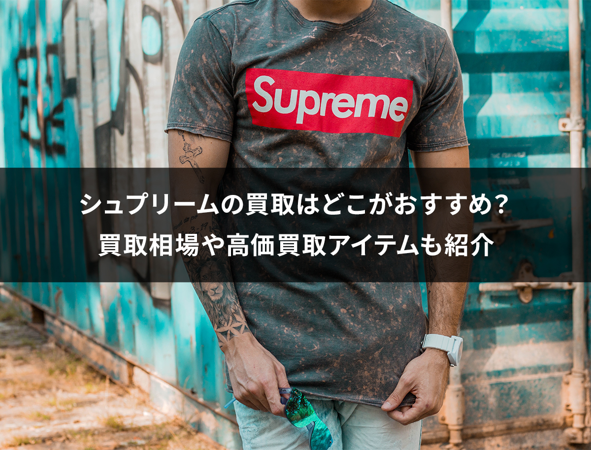 【最高デザイン】シュプリーム　モーションロゴ入フォトプリント　Tシャツ　M