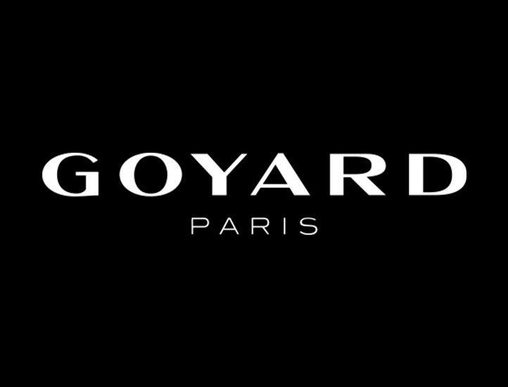 絶対見逃せない GOYARD ゴヤール ハンドバック ベルーガ munkel.cr