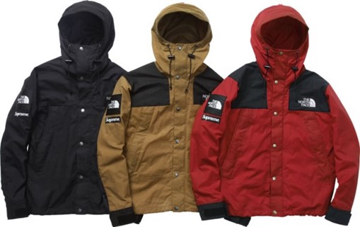 supreme the north face 2010FW マウンテンジャケット