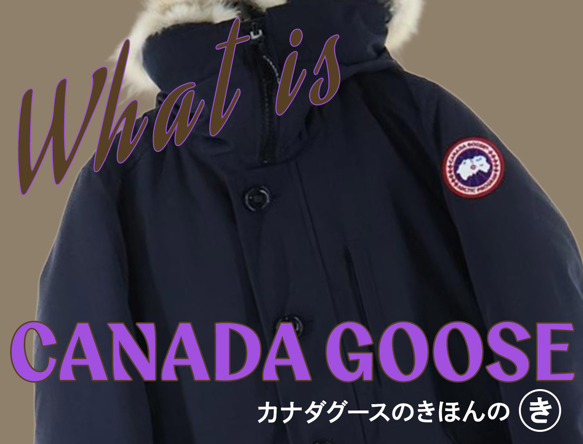 カナダグースとは？なぜ高いのに人気なのか、おすすめモデルまで徹底 