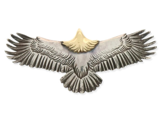 accessory-goros-article46-001-